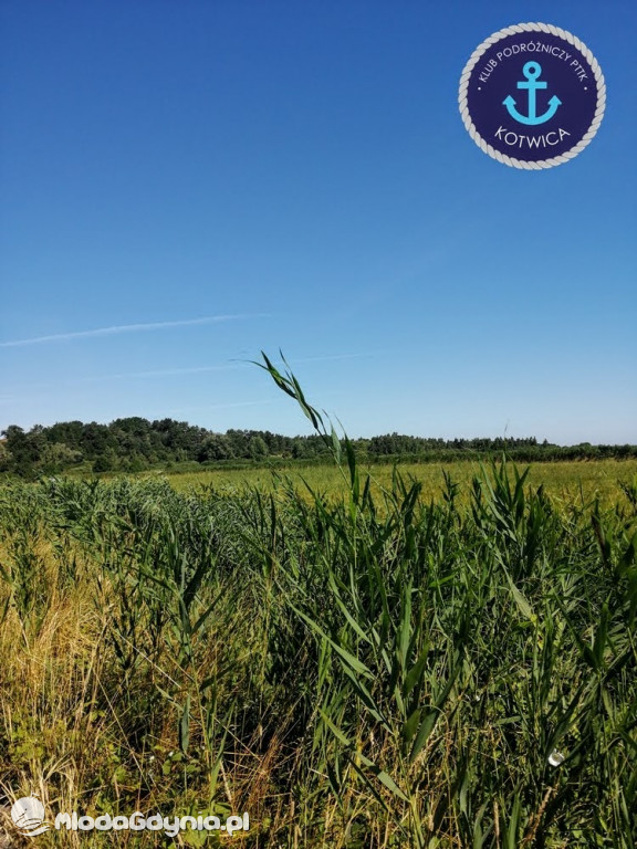 PTTK Kotwica - Rowerem do Osady Łowców Fok w Rzucewie - 01.08.2020