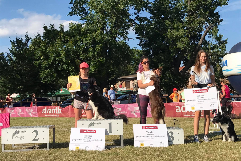 Latające Psy Gdynia 2020