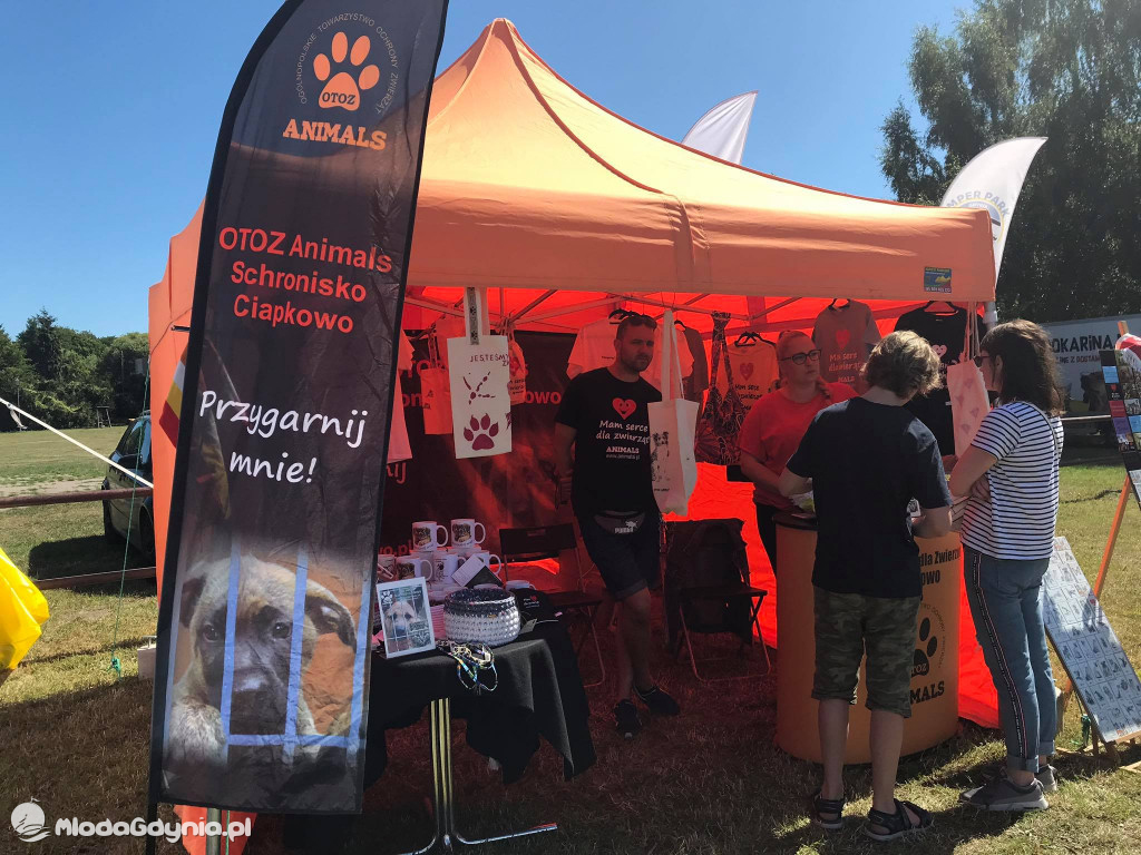 Latające Psy Gdynia 2020