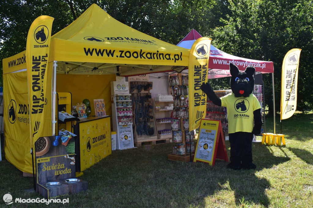 Latające Psy Gdynia 2020