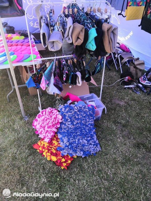 Latające Psy Gdynia 2020