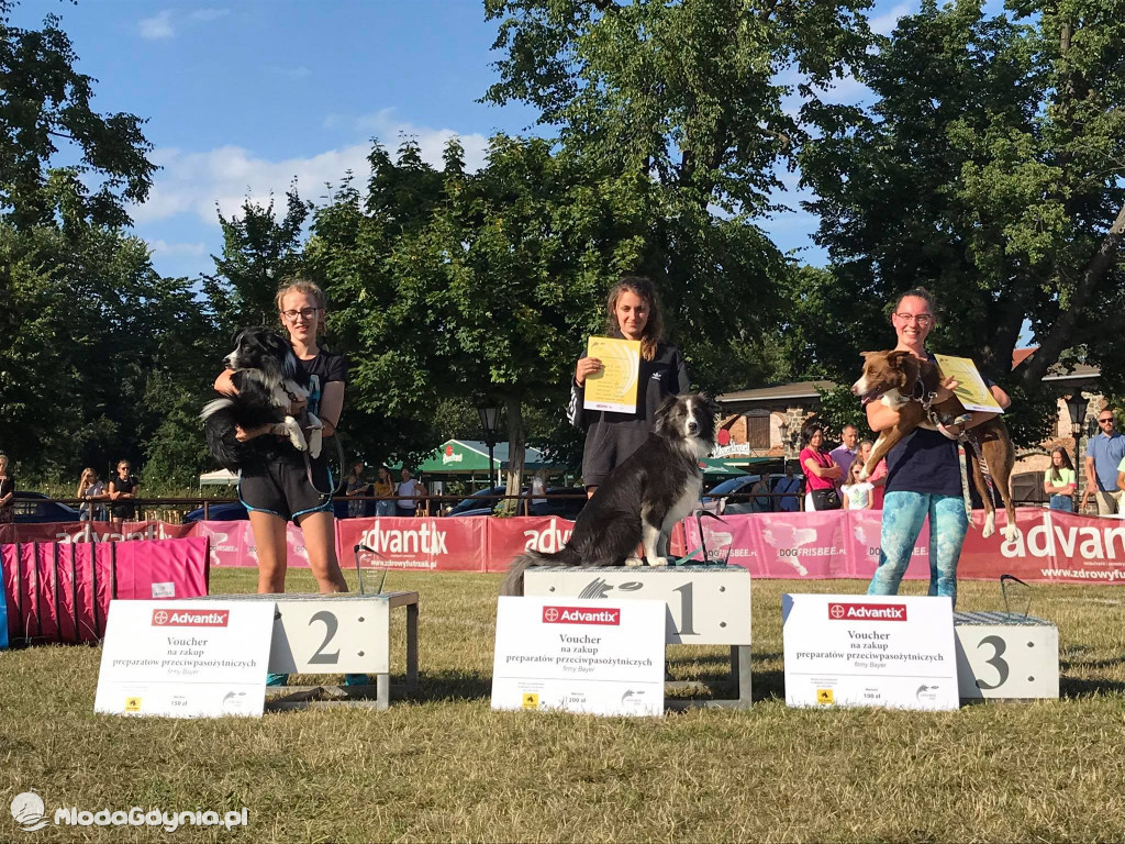 Latające Psy Gdynia 2020