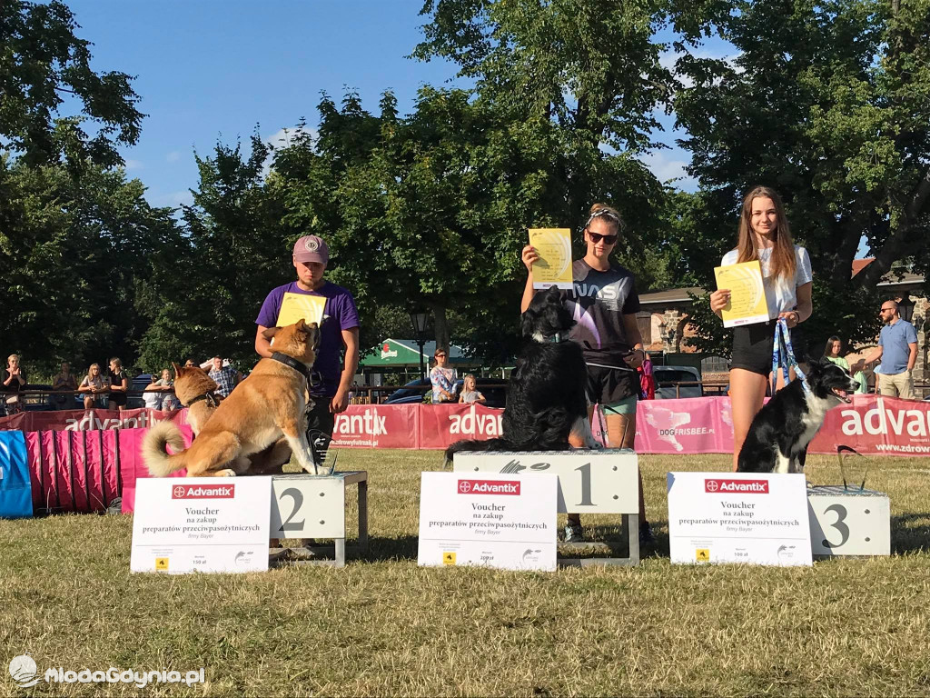 Latające Psy Gdynia 2020