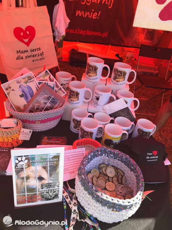 Latające Psy Gdynia 2020