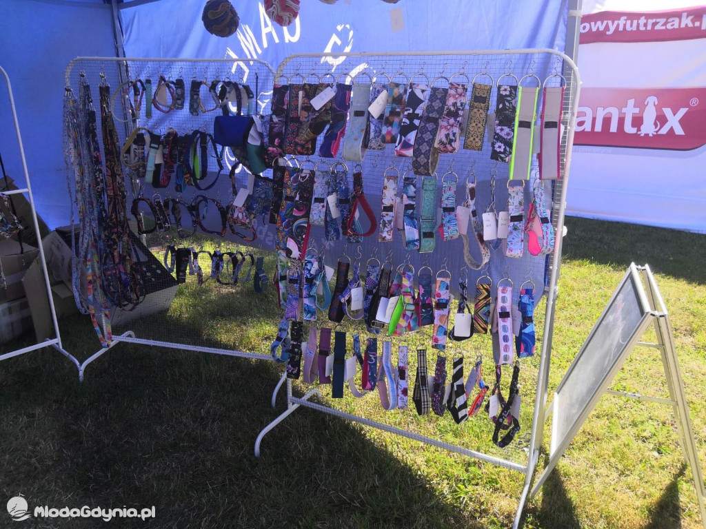 Latające Psy Gdynia 2020