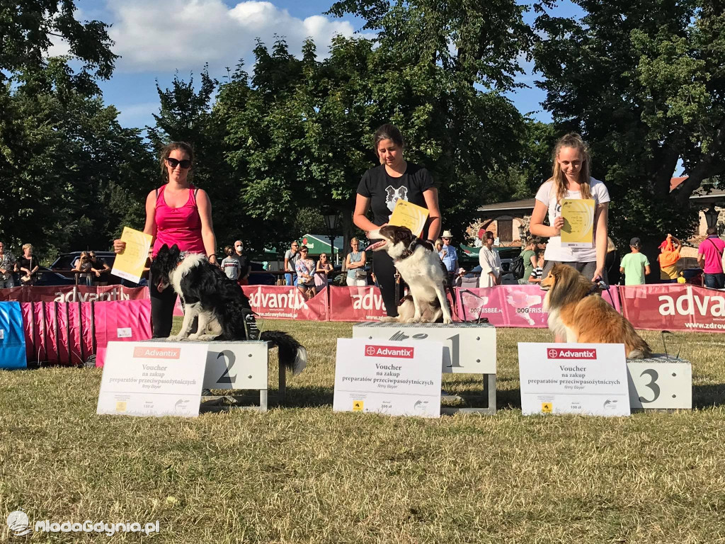 Latające Psy Gdynia 2020