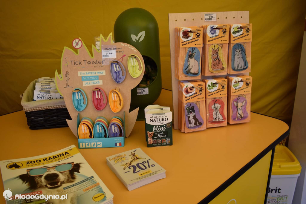 Latające Psy Gdynia 2020