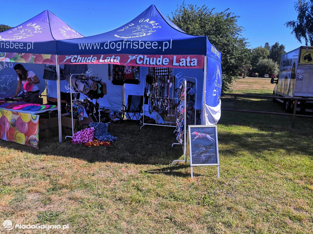 Latające Psy Gdynia 2020