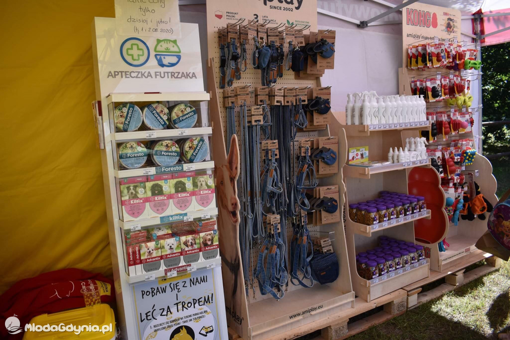 Latające Psy Gdynia 2020