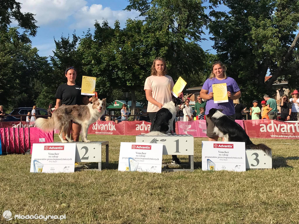 Latające Psy Gdynia 2020