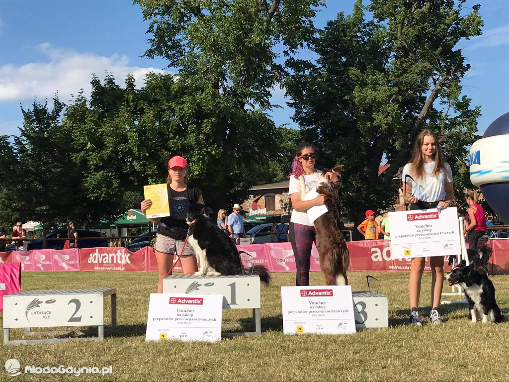 Latające Psy Gdynia 2020