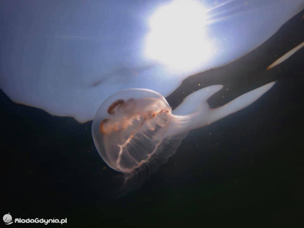 Intensywny weekend TICADA Diving Center