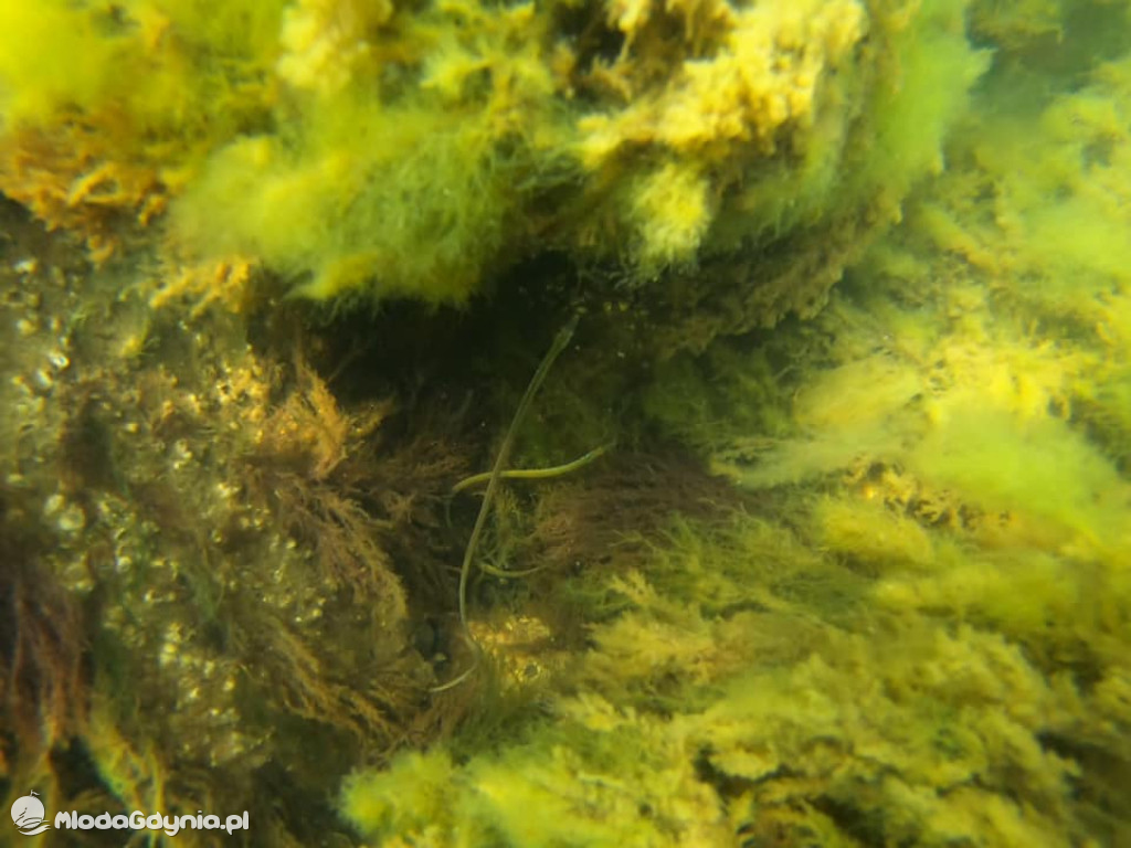 Intensywny weekend TICADA Diving Center