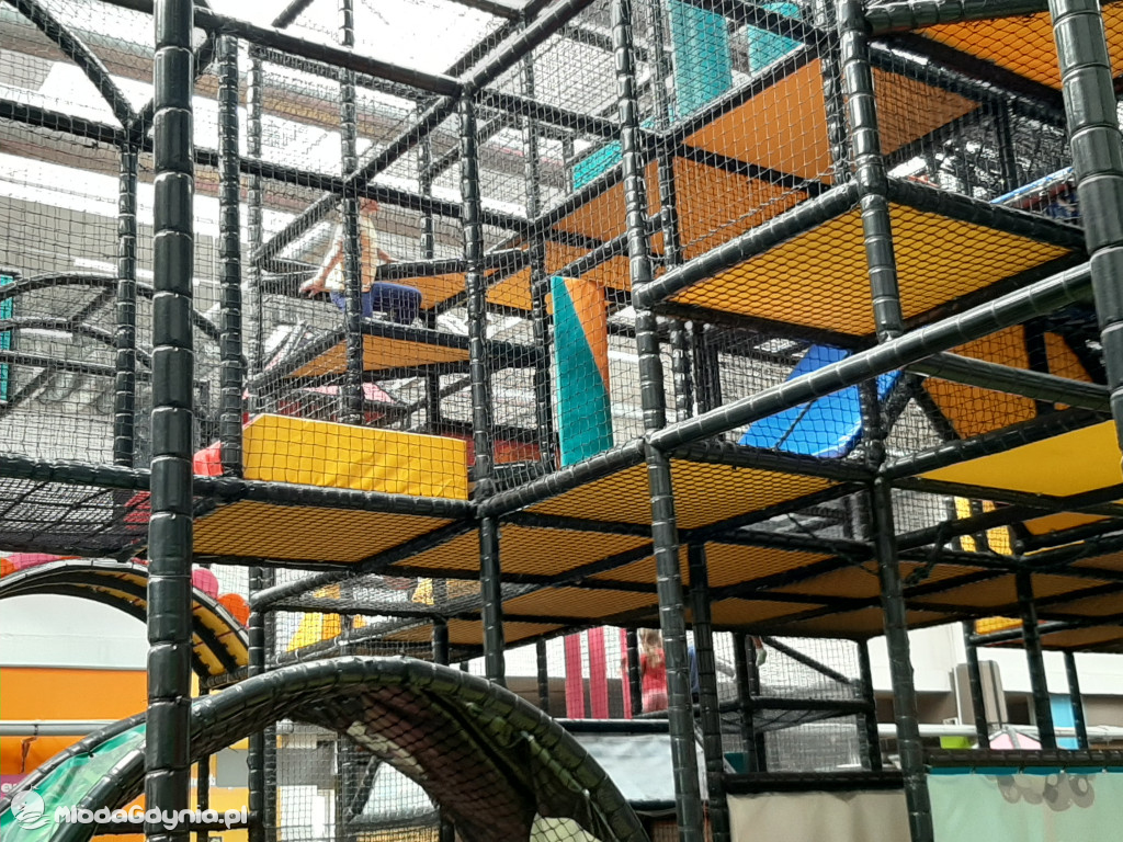Loopys World - sierpień 2020