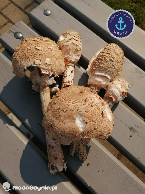 Wycieczka Nr 5 - Kaszuby z lotu ptaka