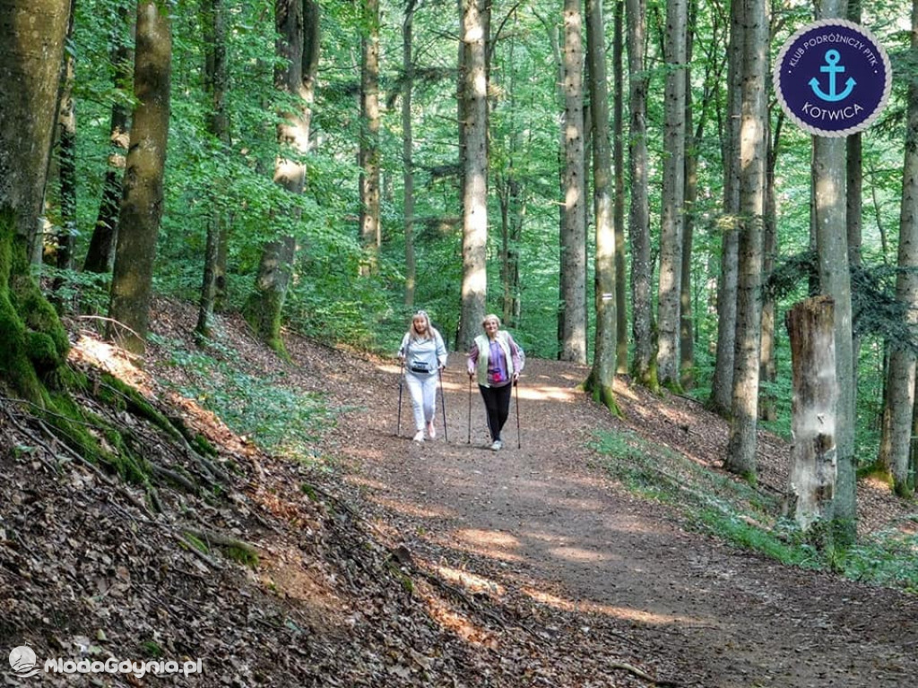 Wycieczka Nr 5 - Kaszuby z lotu ptaka