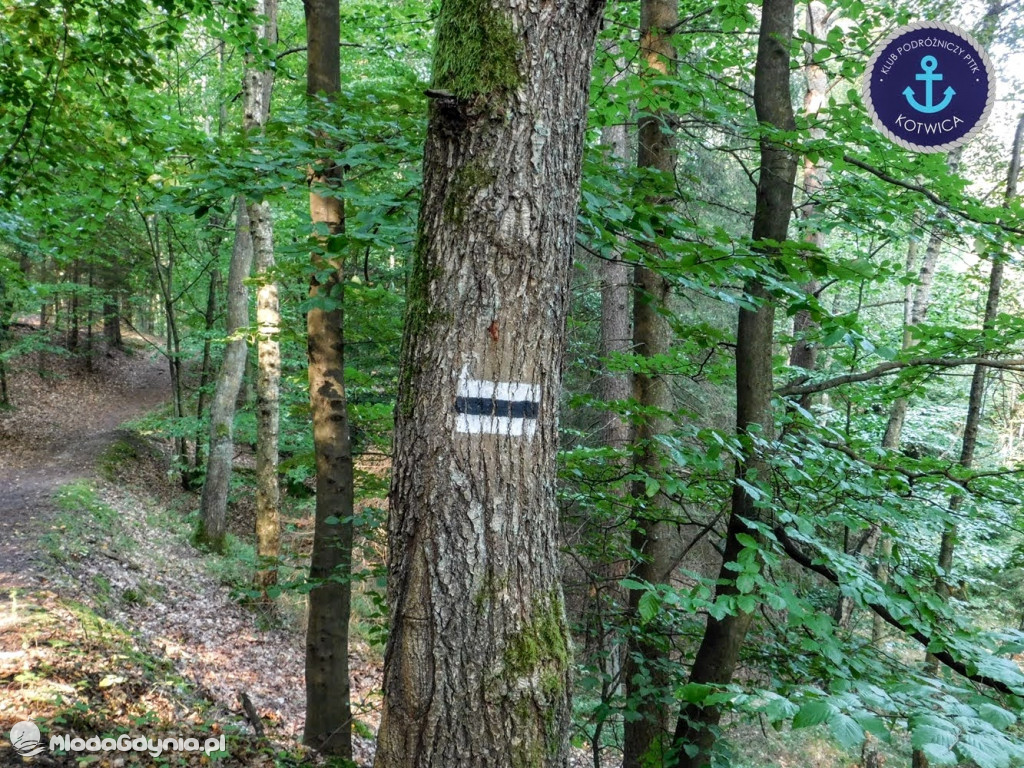 Wycieczka Nr 5 - Kaszuby z lotu ptaka Klubu Podróżniczego 12.09.2020