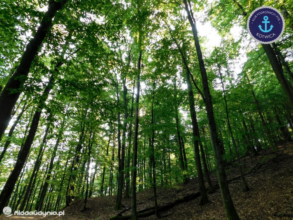 Wycieczka Nr 5 - Kaszuby z lotu ptaka Klubu Podróżniczego 12.09.2020