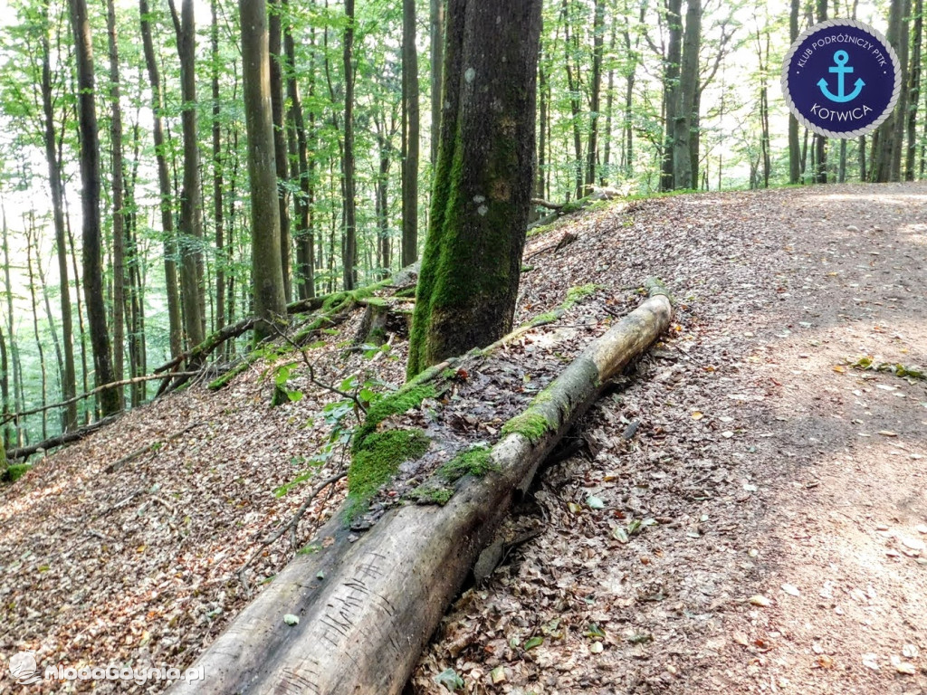 Wycieczka Nr 5 - Kaszuby z lotu ptaka Klubu Podróżniczego 12.09.2020