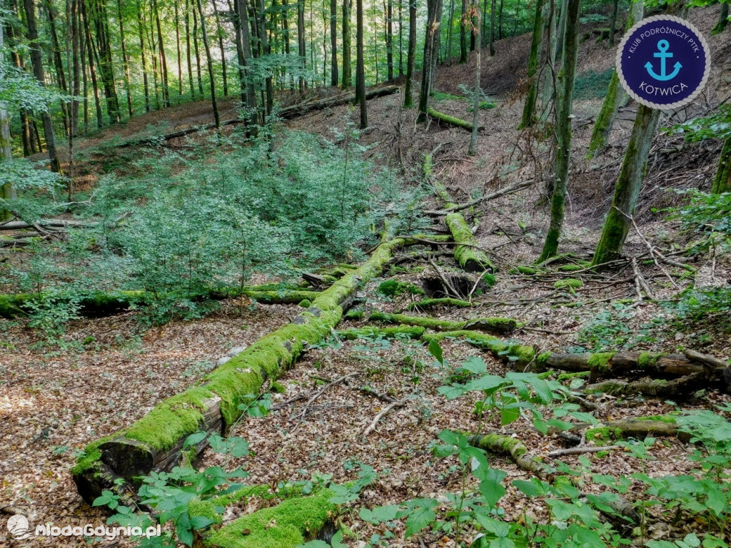Wycieczka Nr 5 - Kaszuby z lotu ptaka Klubu Podróżniczego 12.09.2020