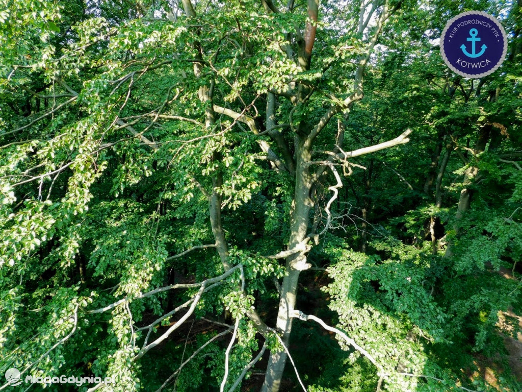 Wycieczka Nr 5 - Kaszuby z lotu ptaka Klubu Podróżniczego 12.09.2020