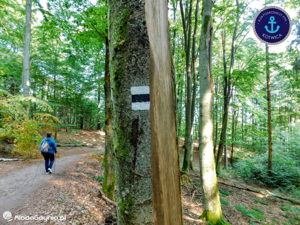 Wycieczka Nr 5 - Kaszuby z lotu ptaka Klubu Podróżniczego 12.09.2020