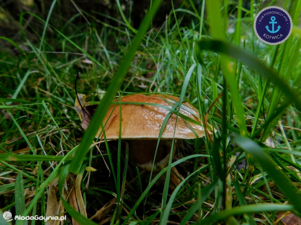 Wycieczka Nr 5 - Kaszuby z lotu ptaka Klubu Podróżniczego 12.09.2020