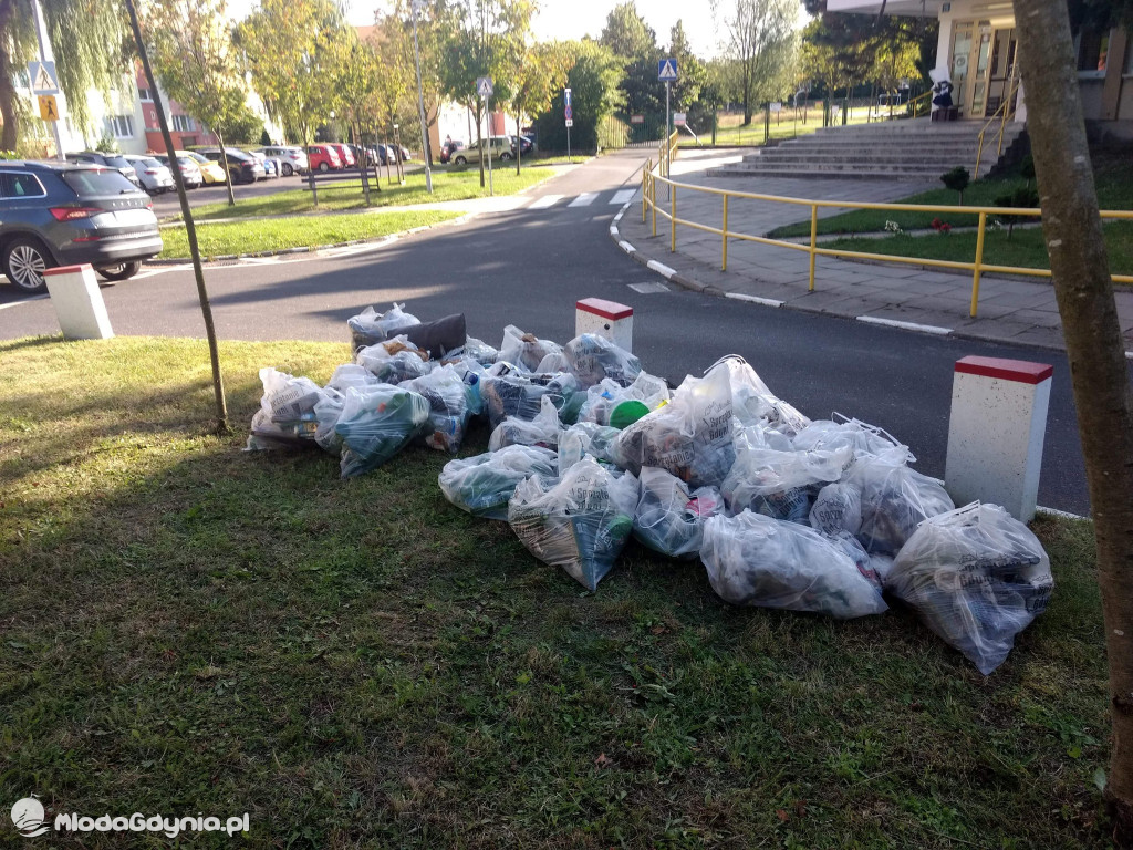 SP 44 - SPRZĄTANIE ŚWIATA 2020