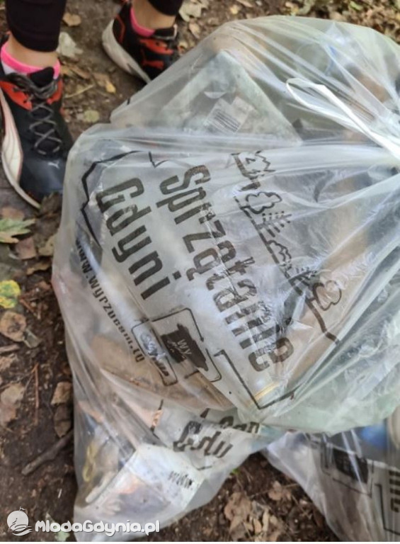 SP 28 - Sprzątanie świata 2020