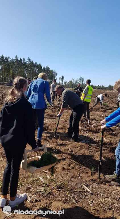 7 PBOT w akcji sadzenia lasu pod patronatem pary prezydenckiej