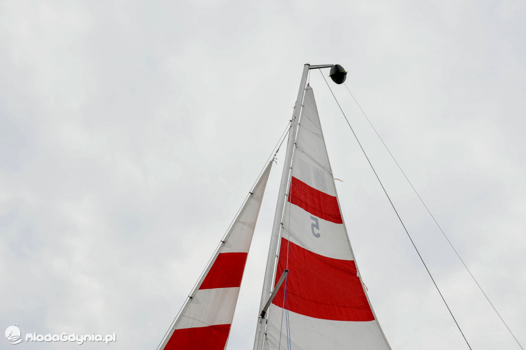 ZHP - Spartakiada 2020