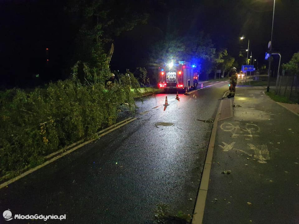 Ochotnicza Straż Pożarna Gdynia-Wiczlino - podsumowanie września 2020