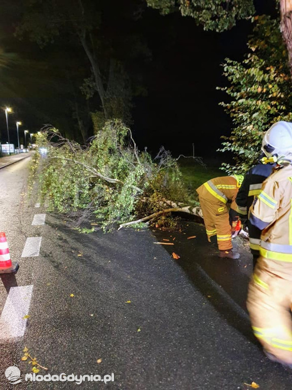 Ochotnicza Straż Pożarna Gdynia-Wiczlino - podsumowanie września 2020