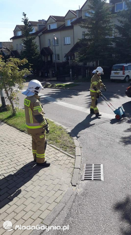 Ochotnicza Straż Pożarna Gdynia-Wiczlino - podsumowanie września 2020