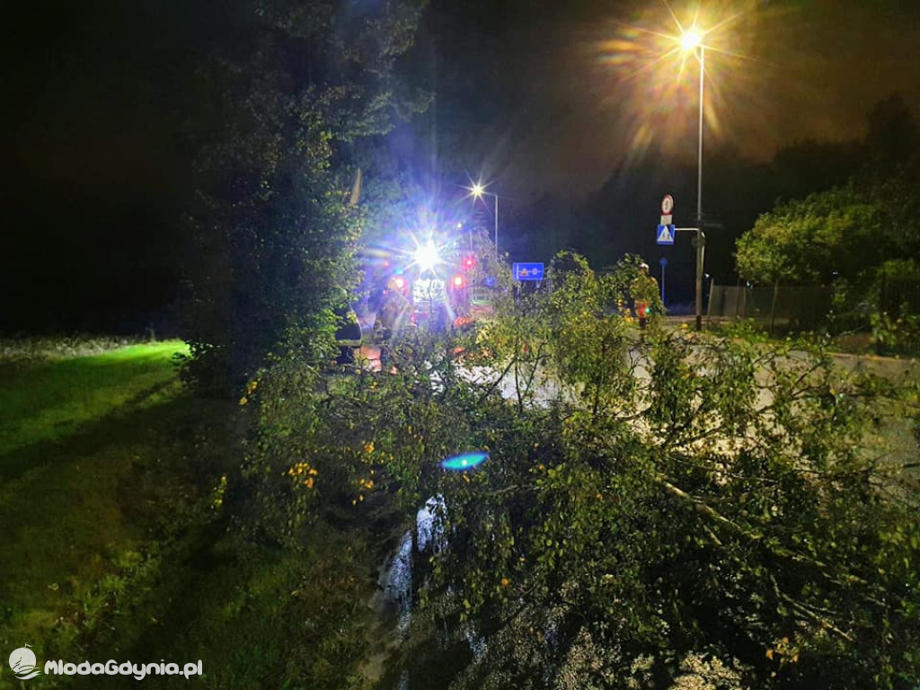 Ochotnicza Straż Pożarna Gdynia-Wiczlino - podsumowanie września 2020