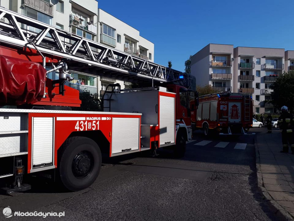 Ochotnicza Straż Pożarna Gdynia-Wiczlino - podsumowanie września 2020