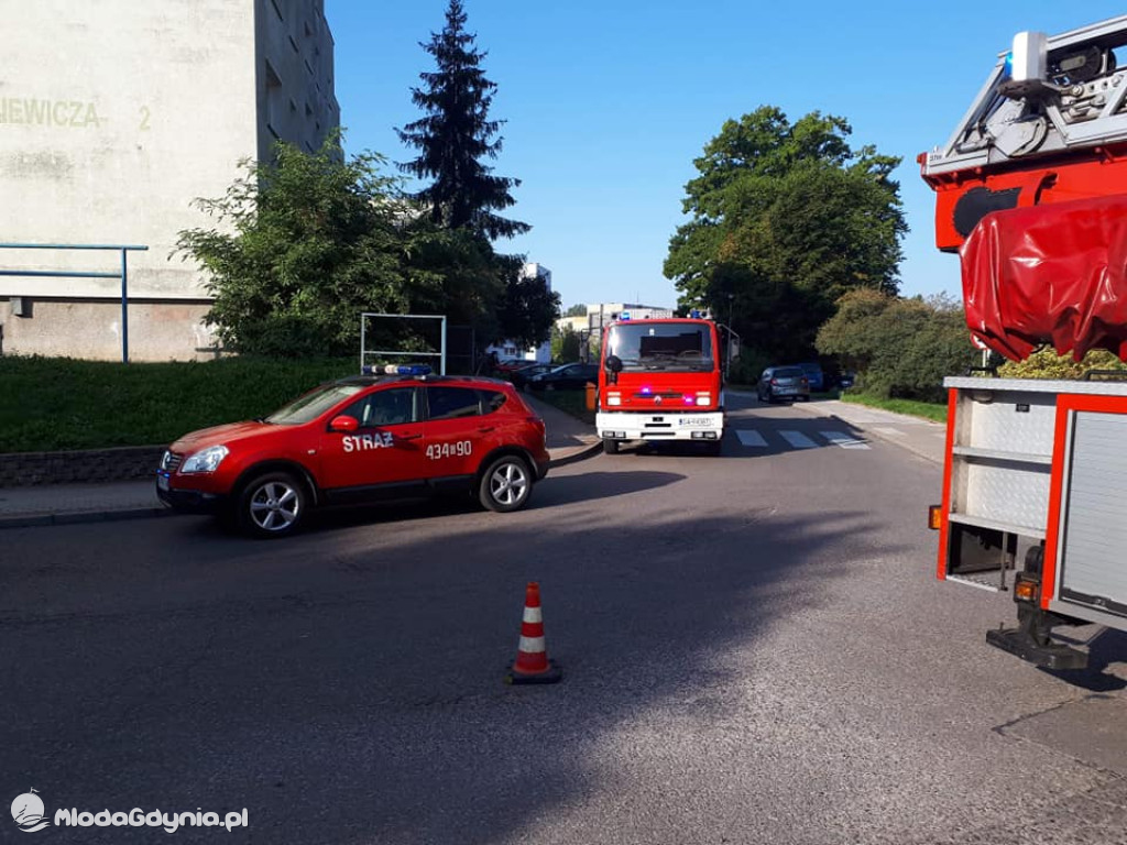 Ochotnicza Straż Pożarna Gdynia-Wiczlino - podsumowanie września 2020