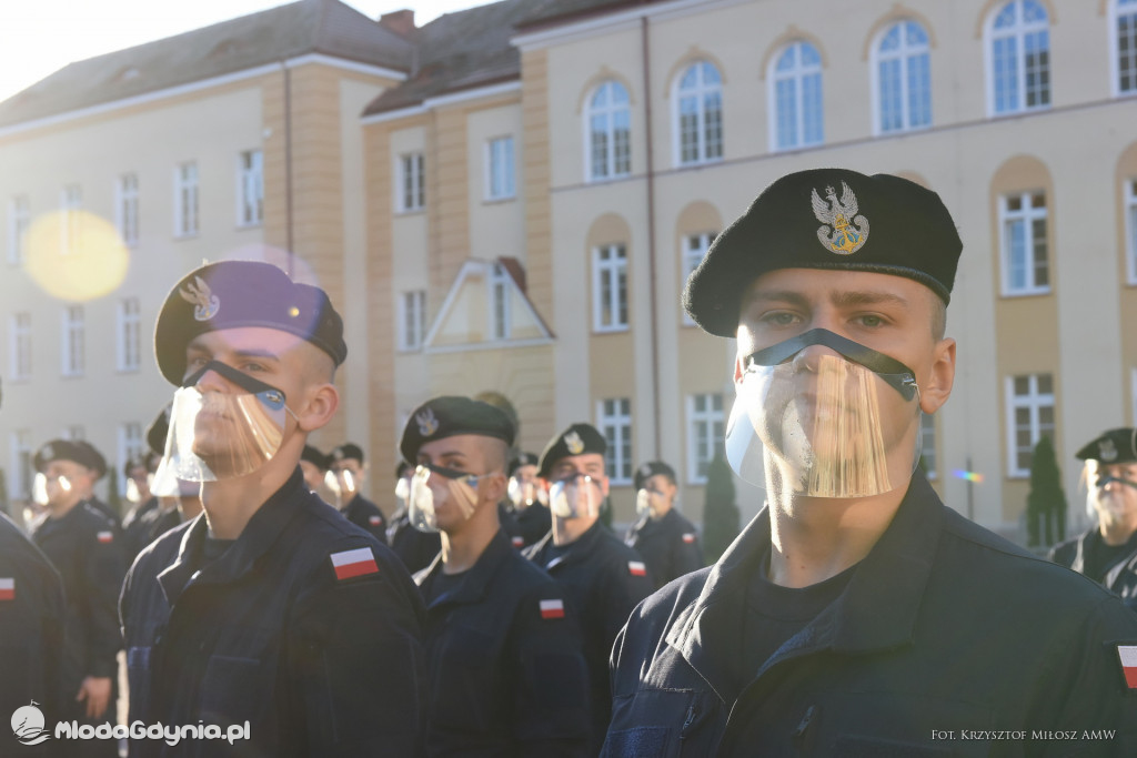 AMW W dwuszeregu zbiórka