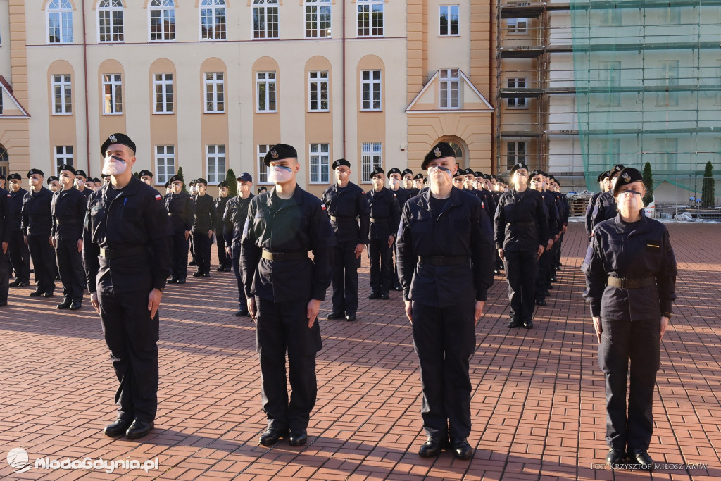 AMW W dwuszeregu zbiórka