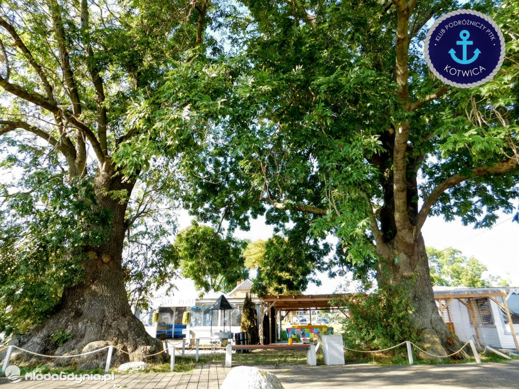 Wycieczka Nr 6 Klubu Podróżniczego PTTK Kotwica - Krok za krokiem z Mechelinek do Rewy - 19.09.2020