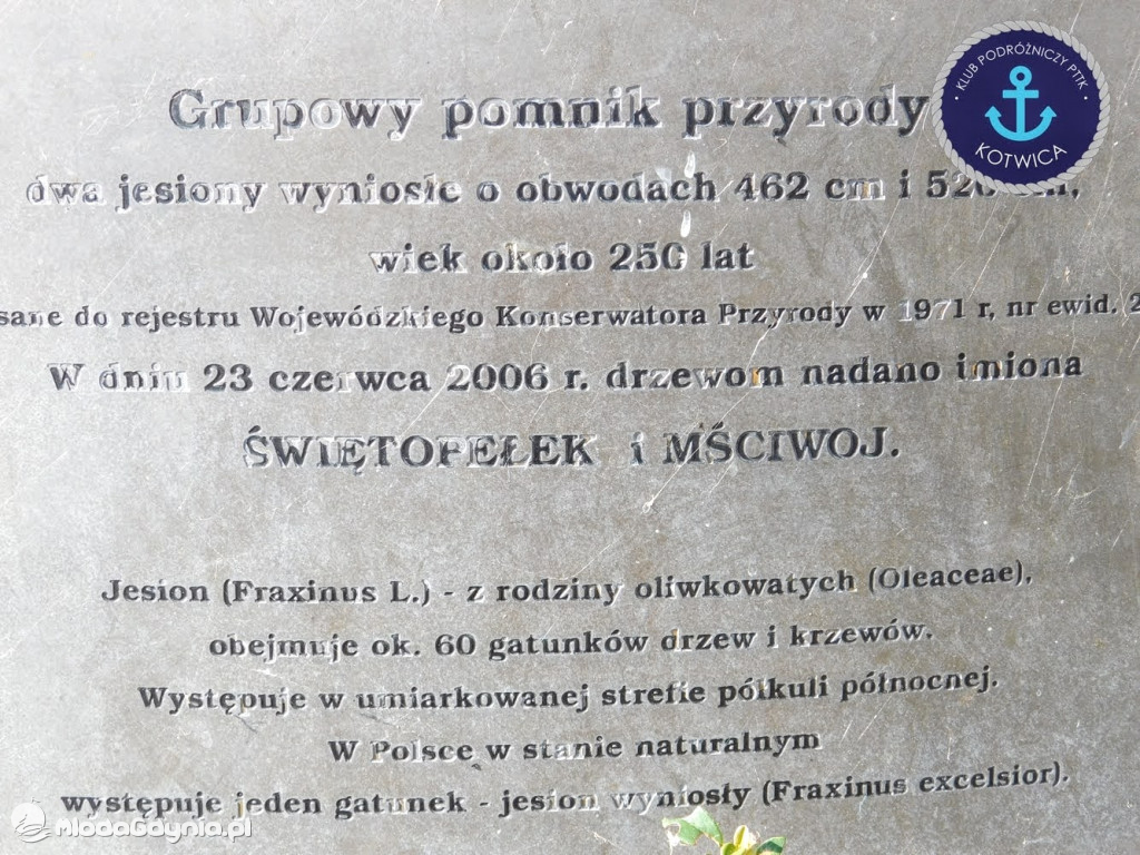 Wycieczka Nr 6 Klubu Podróżniczego PTTK Kotwica - Krok za krokiem z Mechelinek do Rewy - 19.09.2020