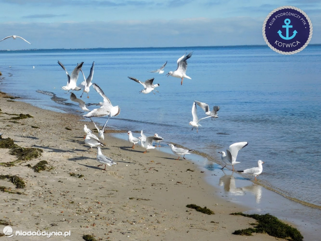 Wycieczka Nr 6 Klubu Podróżniczego PTTK Kotwica - Krok za krokiem z Mechelinek do Rewy - 19.09.2020