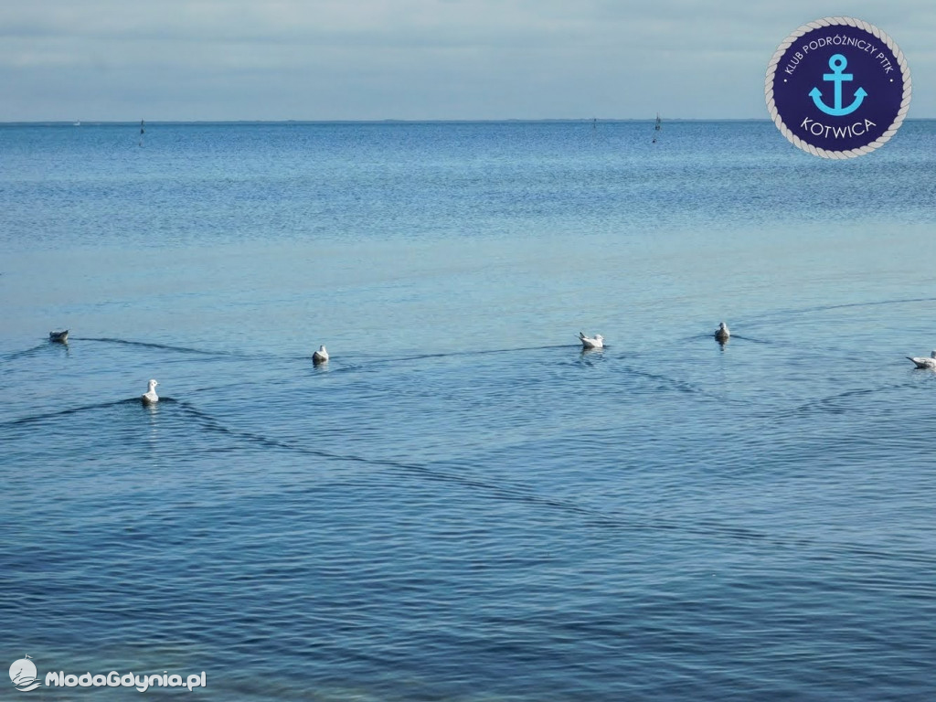 Wycieczka Nr 6 Klubu Podróżniczego PTTK Kotwica - Krok za krokiem z Mechelinek do Rewy - 19.09.2020