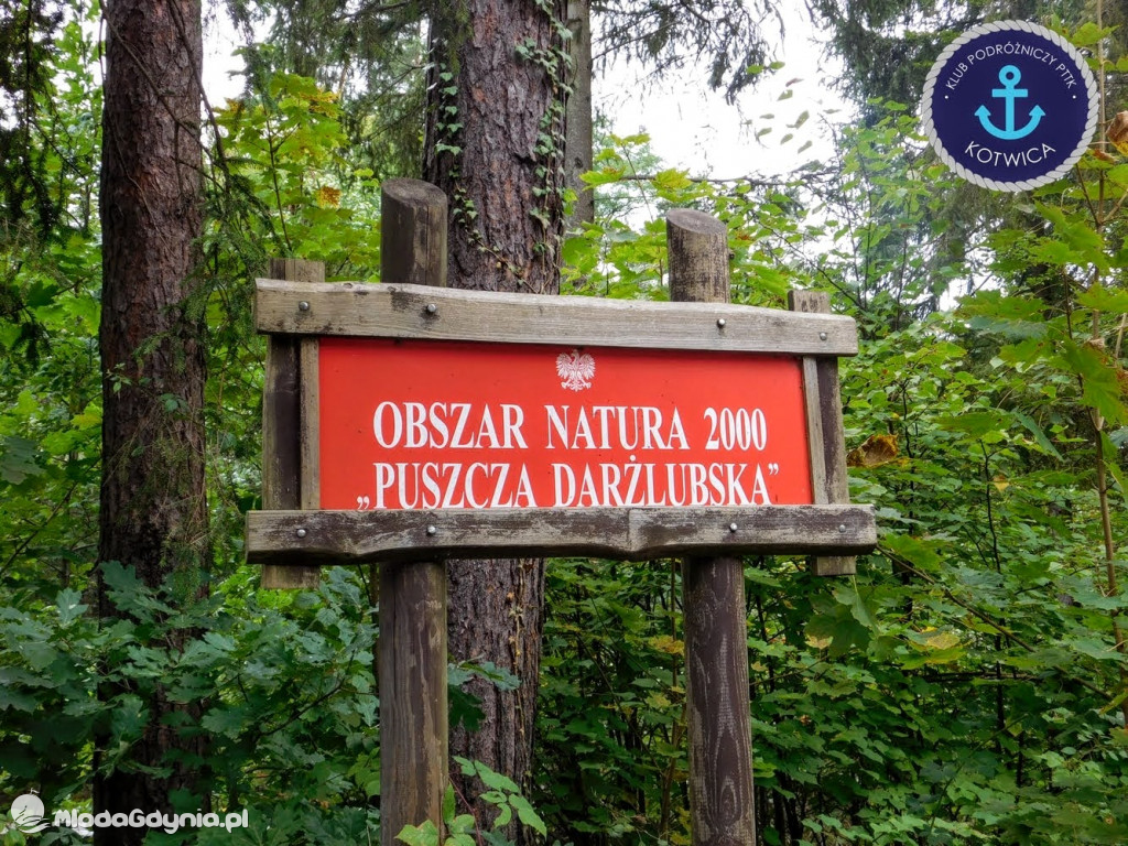 Wycieczka Nr 7 Klubu Podróżniczego PTTK Kotwica - Rajd Rowerowy przez Puszczę Darżlubską - 20.09.2020