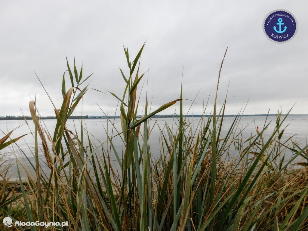 Wycieczka Nr 8 Klubu Podróżniczego PTTK Kotwica - Spacerkiem po Rewie - 10.10.2020