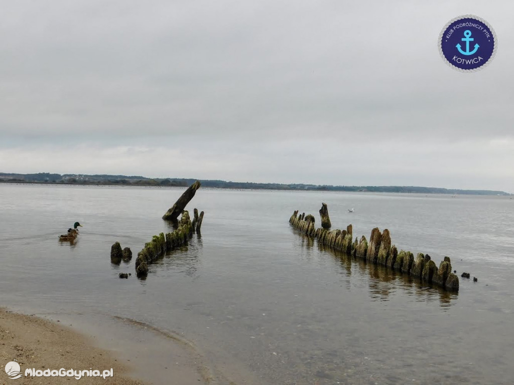 Wycieczka Nr 8 Klubu Podróżniczego PTTK Kotwica - Spacerkiem po Rewie - 10.10.2020