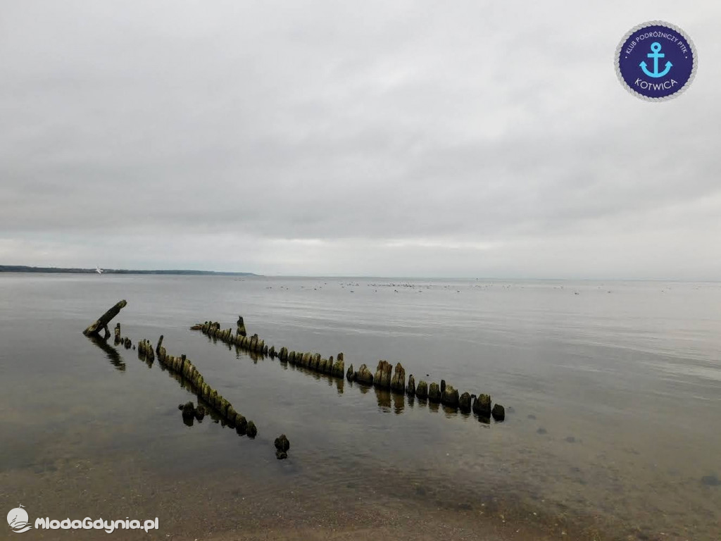 Wycieczka Nr 8 Klubu Podróżniczego PTTK Kotwica - Spacerkiem po Rewie - 10.10.2020