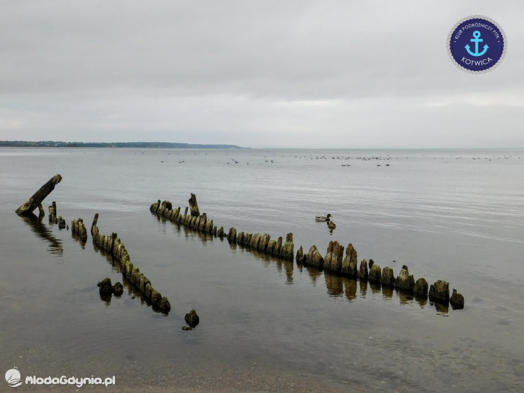 Wycieczka Nr 8 Klubu Podróżniczego PTTK Kotwica - Spacerkiem po Rewie - 10.10.2020
