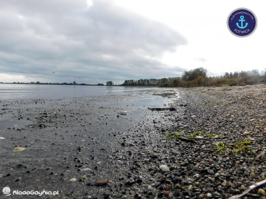 Wycieczka Nr 8 Klubu Podróżniczego PTTK Kotwica - Spacerkiem po Rewie - 10.10.2020