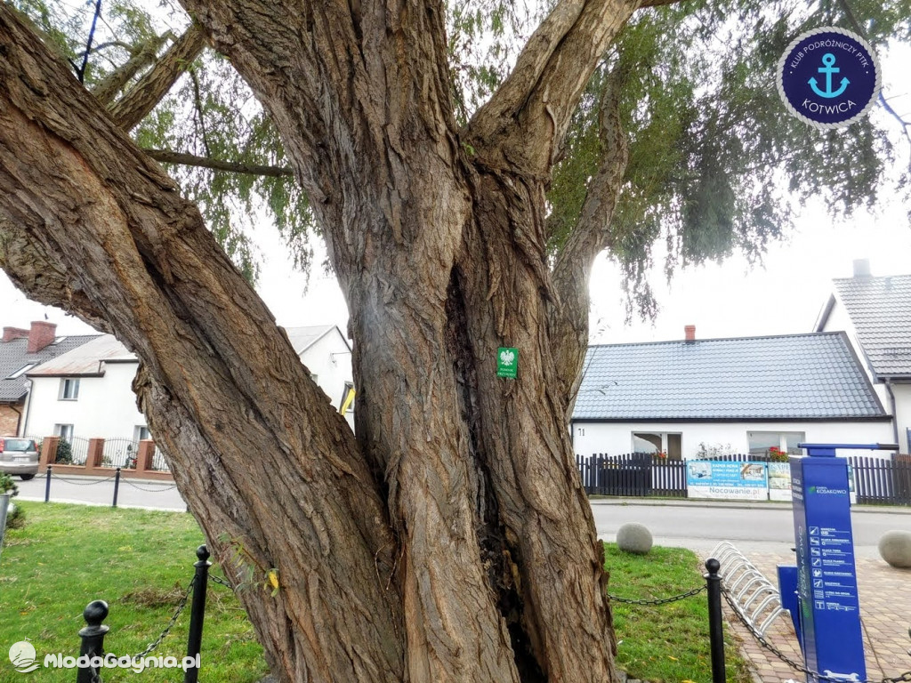 Wycieczka Nr 8 Klubu Podróżniczego PTTK Kotwica - Spacerkiem po Rewie - 10.10.2020